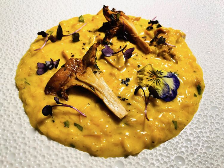 Saffron risotto with chanterelle mushrooms and barbequed chanterelle mushrooms, chef Alessandro Merlo
