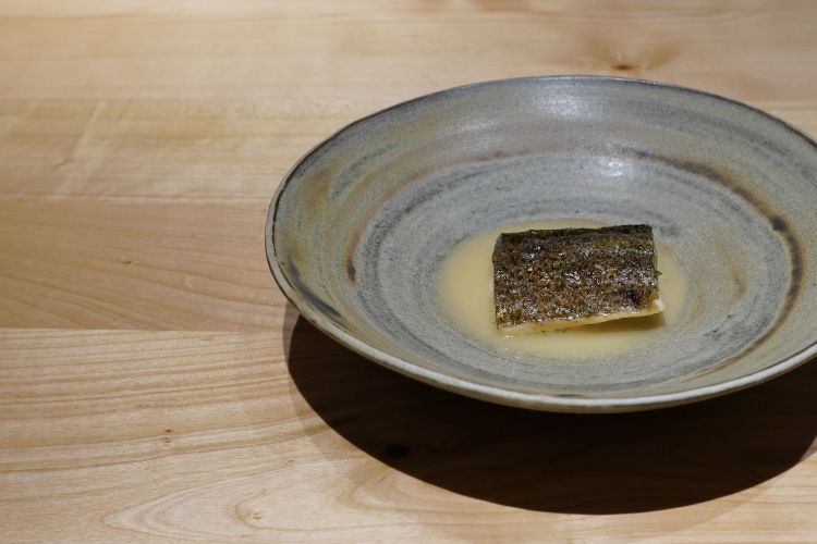Trout & juniper: chargrilled trout, water of tomato and fermented golden plums, juniper oil
