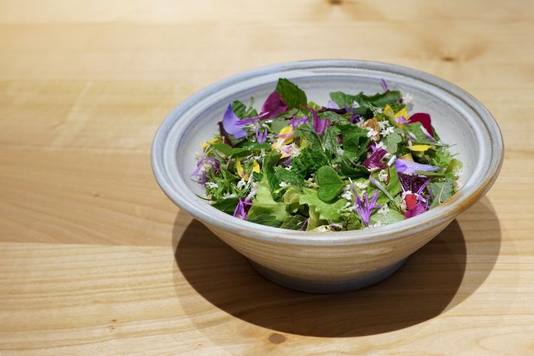 Insalata dell'orto. È composta da 25-30 tra erbe e fiori, con tre tipologie di lattuga che arrivano da un orto di Kronplatz. Poi chips di segale con semi di lino, di zucca e trifoglio, semi di amaranto, topinambur disidratato e a bagnare il tutto una kombucha di fiori di sambuco. Intensa più che mai. L'abbinamento è con Total Green, ossia un succo di mela verde ed erbe aromatiche
