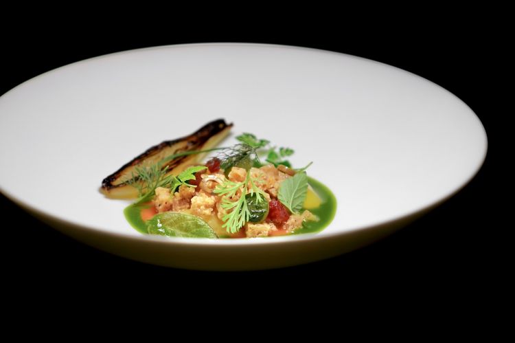 Panzanella di lievito madre, con pomodori dell'orto e gazpacho verde,&nbsp;uno dei piatti pi&ugrave; rappresentativi dello chef, lo accompagna ormai da tre anni nel suo percorso al ristorante Nove. &Egrave; una panzanella di pane di lievito madre raffermo, reidratato con acqua di pomodoro. Alla base pomodorino datterino giallo marinato all&rsquo;aceto di pomodoro, poi datterino rosso confit e cipollotto. Infine un gazpacho verde che ricopre una "salsa al pomodoro 63", che deve il nome alla temperatura con cui viene cotta, che consente di preservare il colore e la dolcezza del pomodoro crudo. Il gazpacho &egrave; un assemblaggio di erbe e germogli di stagione
