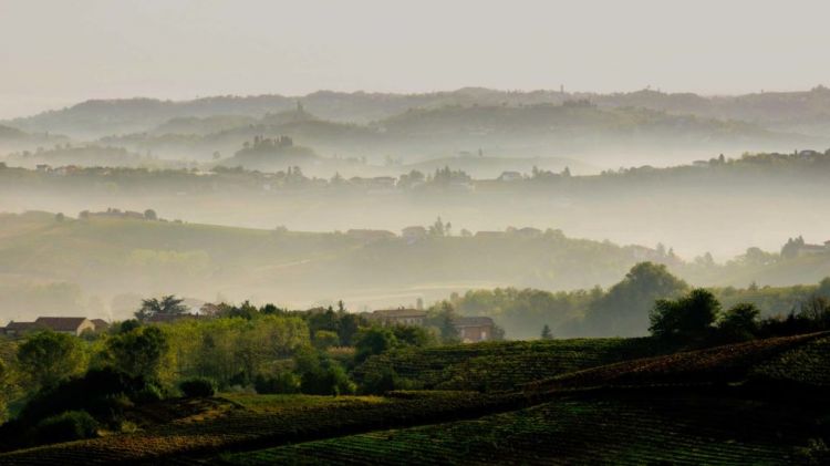 Una splendida immagine dei paesaggi astigiani