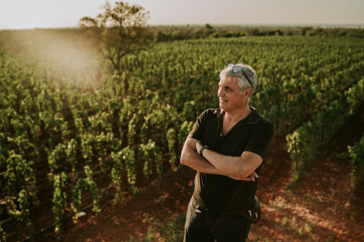 Antonio Intiglietta nelle sue vigne in Puglia