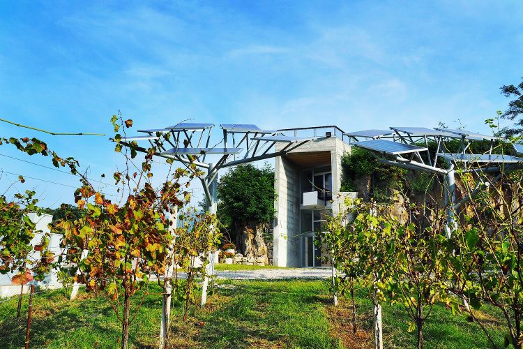 Cantine Simone Giacomo in provincia di Benevento