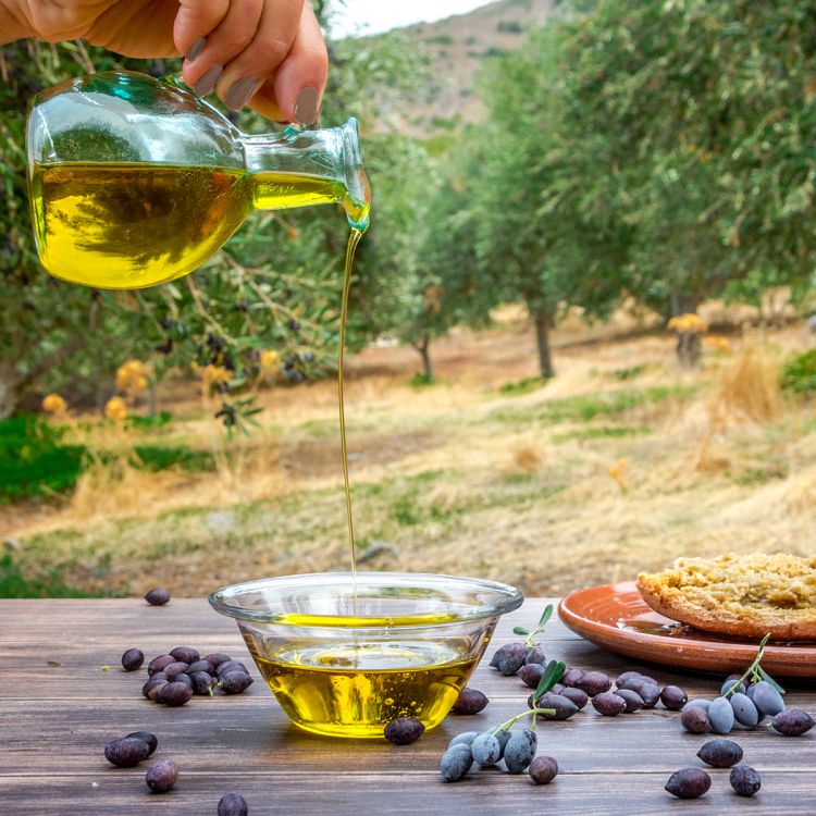 Gli abitanti di Creta amano l'olio e ne fanno uso in quantità. Oltre al frutto, anche l'albero è funzionale alla vita quotidiana degli isolani che impiegano la legna per scaldarsi o per intagliare strumenti di ogni tipo. Apprezzano talmente tanto quest'albero, che alcuni anziani dell'isola svelano che «anche solo sedersi sotto la sua chioma, sia in grado di apportare enormi benefici»
