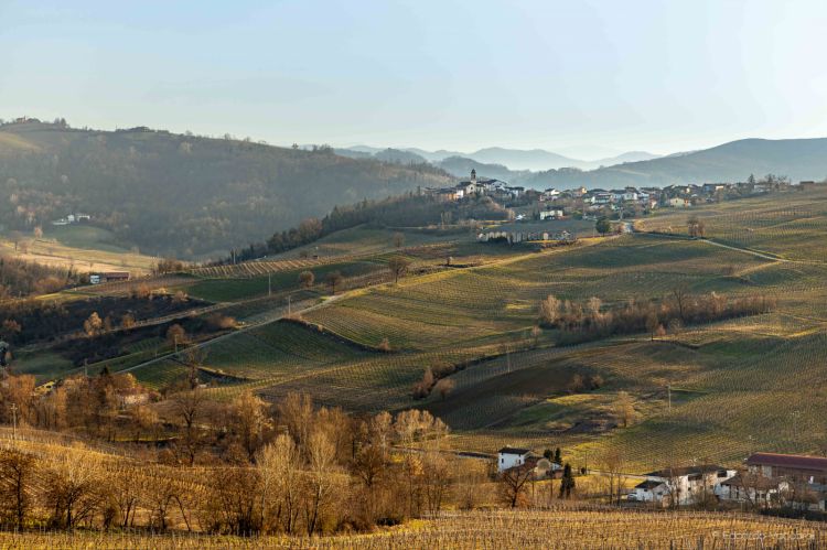 Ancora una splendida immagine dell'Oltrepò Pavese
