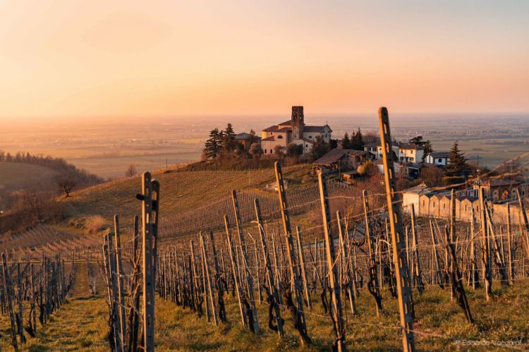 Un territorio ricco dove è possibile crescere
