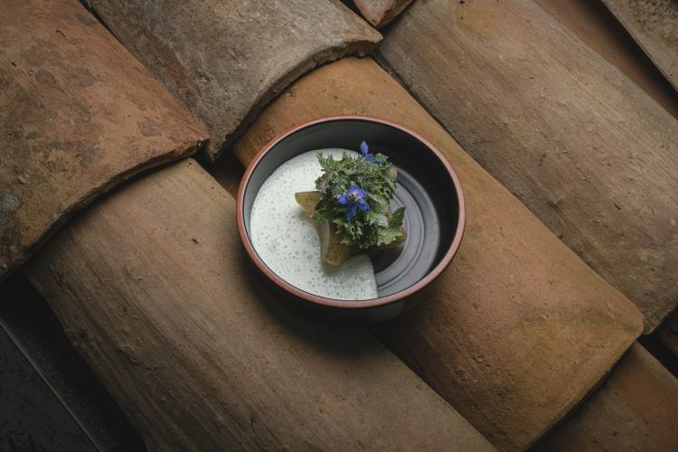 Ricotta di bufala, kiwi e kefir di bufala
