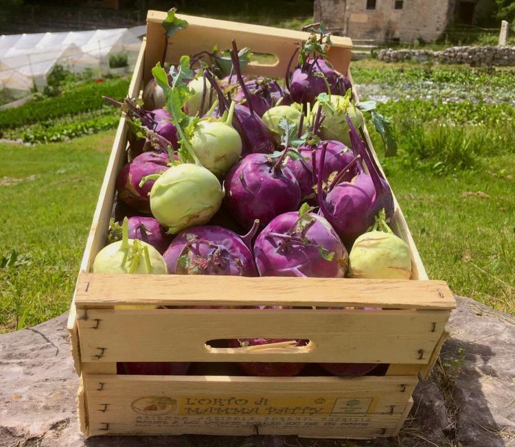 Verdure de L’orto di Mamma Patty
