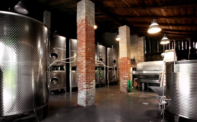 La piccola cantina sull'isola di Sant'Erasmo
