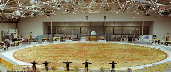 Questa immagine celebra uno dei record da Guinness ottenuti dalla Nazionale Italiana Pizzaioli. In questo caso si tratta della pizza tonda più grande del mondo, preparata a Roma il 13 dicembre 2012