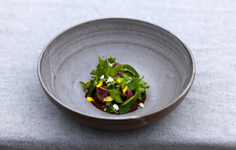 Oxtail and mole of dog rose (photo Jason Loucas)