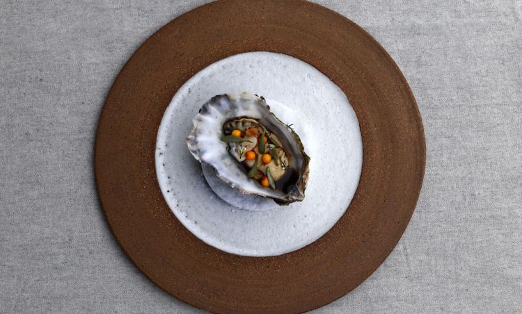 Carnita of oyster and sea-buckthorn (photo Jason Loucas)