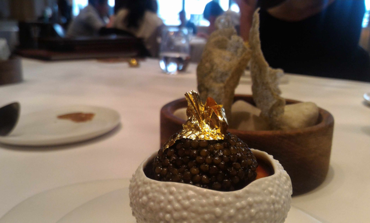 Hokkaido Sea Urchin