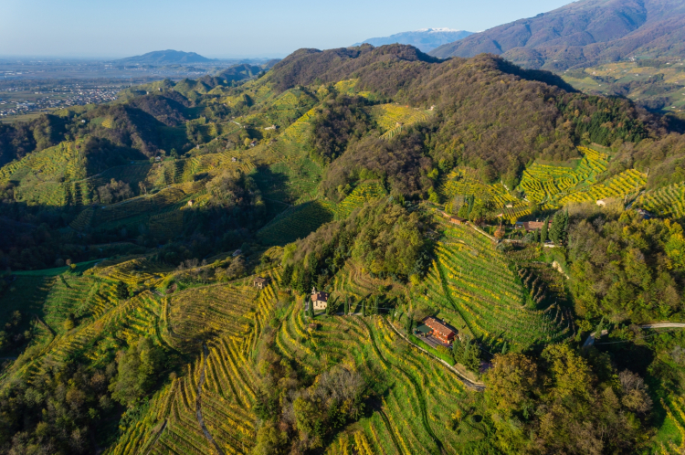 Viaggio sulle colline di Conegliano Valdobbiadene,