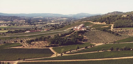 Petra’s vineyards in Val di Cornia, Tuscany