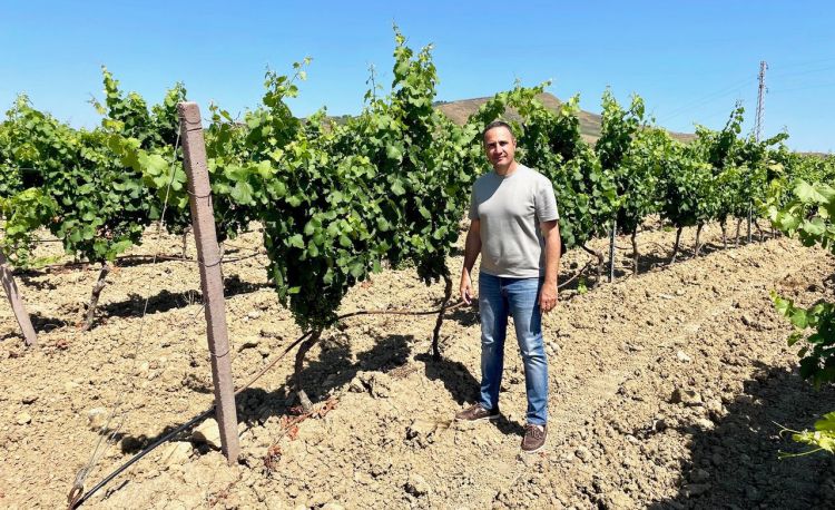 Antonio Tonnino in mezzo ai vigneti di Alcamo
