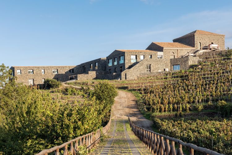 L'azienda siciliana sull'Etna
