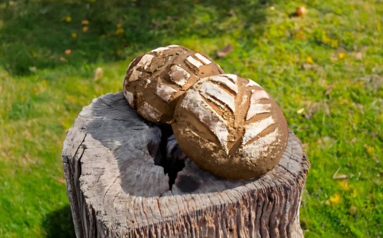 Pane di farina di carrubo e Tumminia
