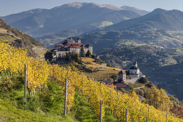 Una significativa immagine dei vigneti altoatesini
