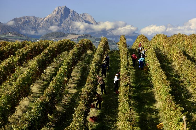 Il massiccio del Gran Sasso guarda come un custode