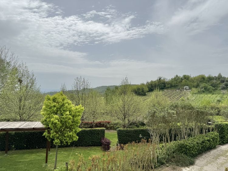 Una meravigliosa natura incontaminata domina la Tenuta