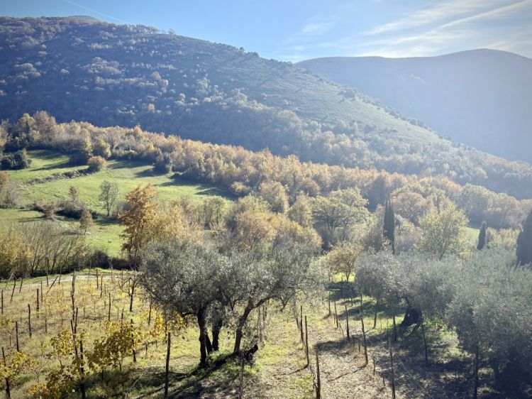 I dintorni de Le Campestre
