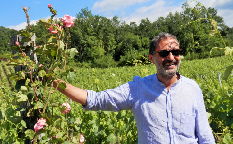 Paolo Chirillo, proprietario dell'azienda viti