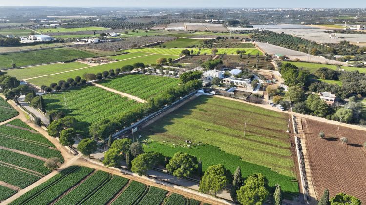 La Masseria Mancini dall'alto