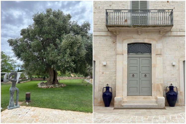 Altri scatti del nuovo Pashà alla Masseria Mancini