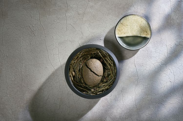 Patata e fieno - &laquo;Qui abbiamo il nostro secondo classico di Hi&scaron;a Franko: una patata cotta nel fieno. La crosta di fieno &egrave; molto importante perch&eacute; &egrave; fieno di agosto, quindi mescolato con molte erbe. Quando aprirete la patata sentirete un bel profumo. Anche la patata &egrave; importante: &egrave; una patata di montagna che coltivano&nbsp;apposta per noi, ed &egrave; piuttosto costosa per essere una patata!&nbsp;A lato avete sour cream fatta in casa, aromatizzata con fieno greco tostato. Sopra, una polvere di fieno e lievito. A parte, miele di tiglio. Il modo giusto di mangiare il piatto&nbsp;&egrave;: aprite la patata, fate un bel respiro, mettetela sul piatto accanto a voi e aggiungete sopra la sour cream e il miele&raquo;
