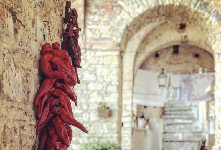 Peperoni messi a seccare, durante la lavorazione d