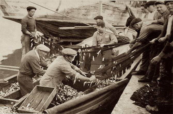 Foto storiche di pesca e salatura di acciughe in Sicilia
