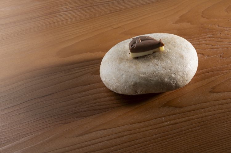 Pesciolino: cioccolato, arancia candita e spina di ricciola maturata