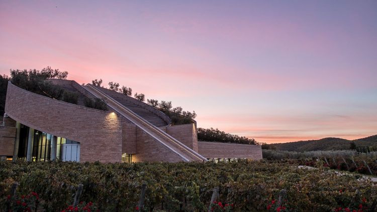 Una splendida immagine della cantina Petra