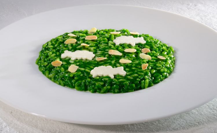 Riso all’aglio orsino, ricotta di capra e mandorle
