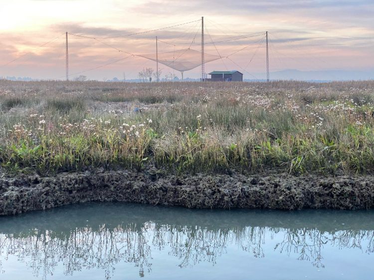 Una barena della Laguna di Venezia, con la tradizi