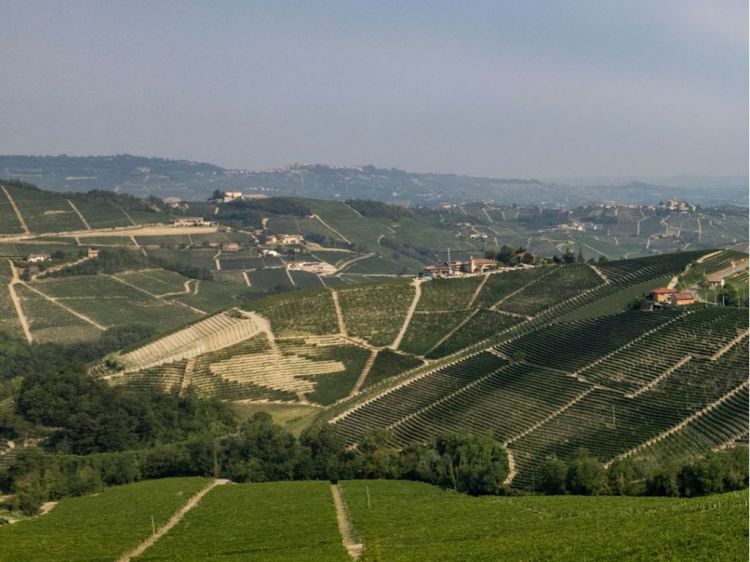 I dintorni de La Rei Natura. Foto Nicolò Brunelli

