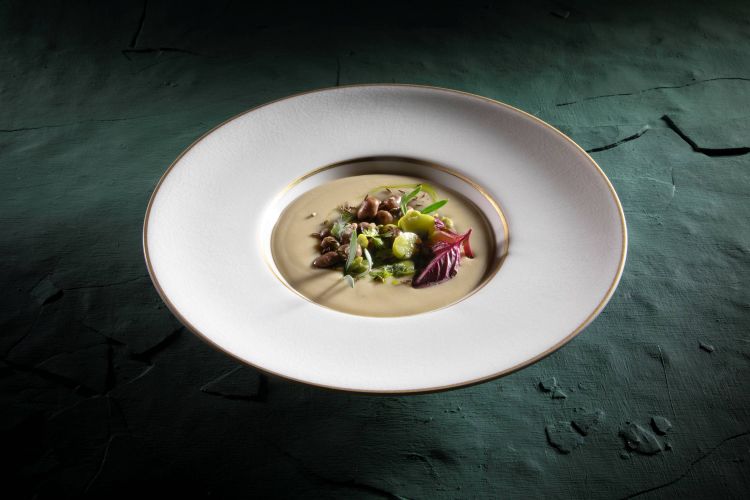 Crema di fave Cottòra con fave fresche, limone confit, cumino e oli all’aneto e al prezzemolo