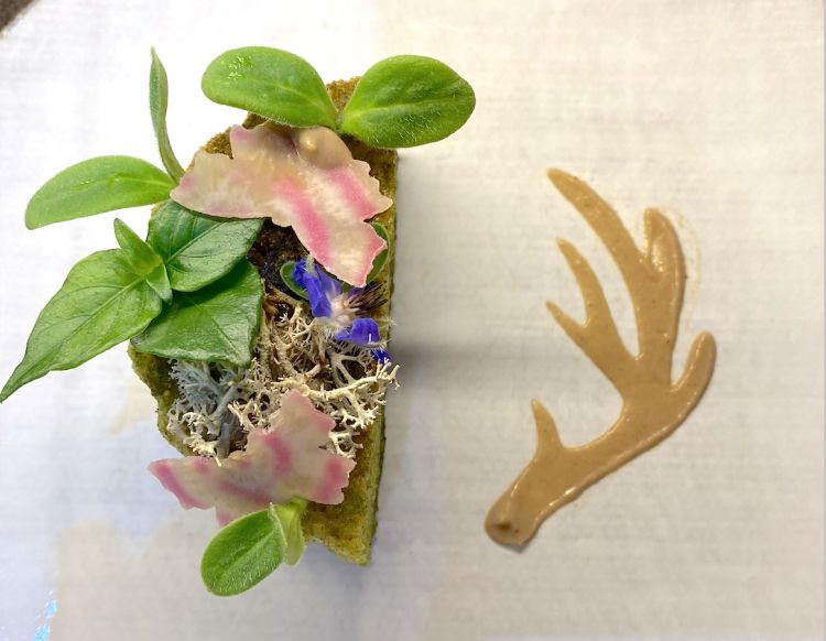La Torba di Alessandro Gilmozzi del ristorante El Molin, una stella Michelin, a Cavalese (Trento)