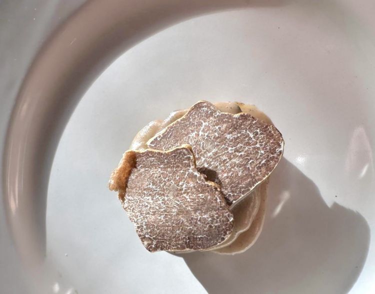 Mandarino, caldarroste, cime di rapa e tartufo bia