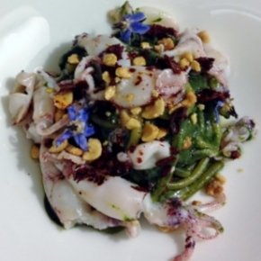 Pici with borage, calamari and peanuts