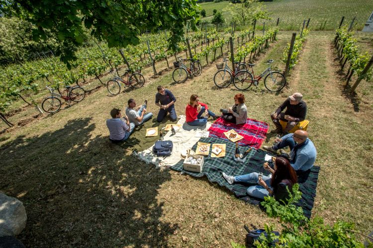 Sta diventando sempre più diffuso il picnic in vi
