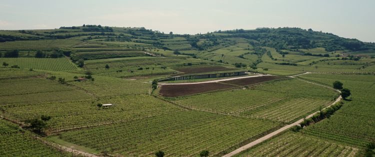 La nuova sede si trova non lontano dal centro storico di Soave
