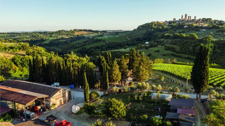 La tenuta Pietraserena a San Gimignano
