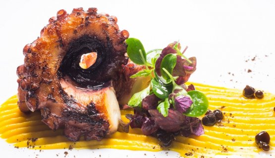 Octopus cooked in olive oil with pumpkin cream, co