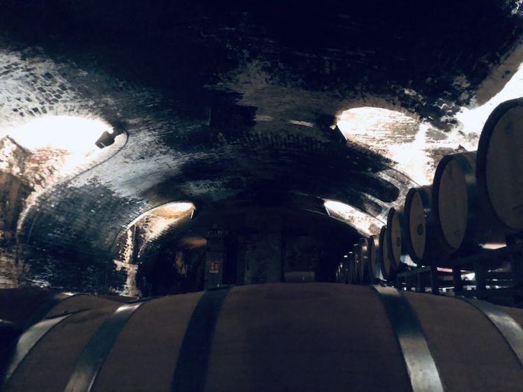 Una delle sezioni più antiche della Pio Cesare ad Alba nelle Langhe. Sotto, bottiglie di Barolo e Barbaresco che dormono tra le mura romane della stessa cantina
