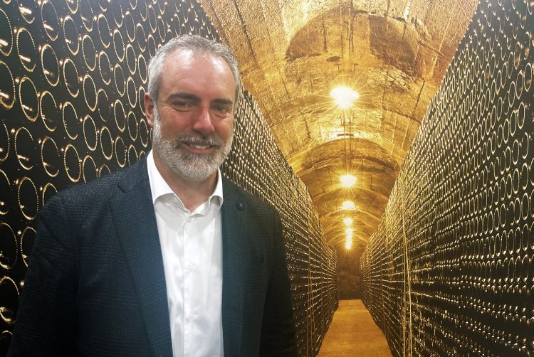 L'amministratore delegato Elio Pisoni