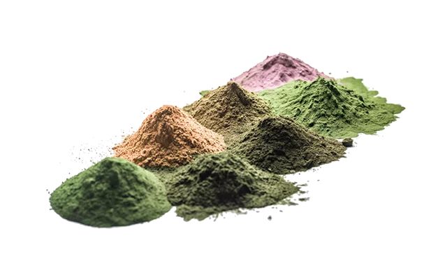 Vari tipi di plancton, selezionati da Ángel León