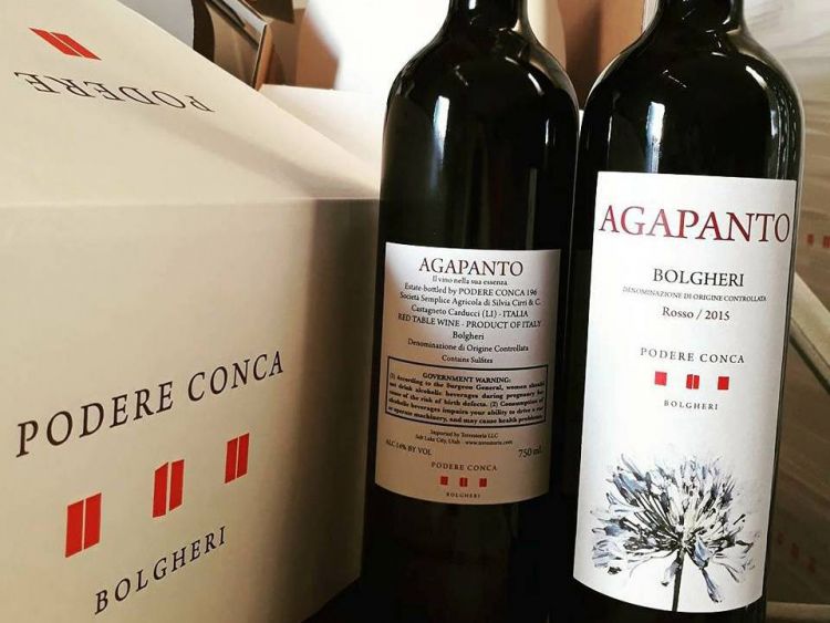 L'Agapanto è il vino rosso dell'azienda
