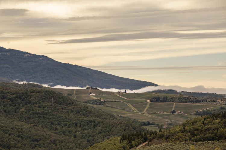Splendida vista sulla Valdisieve, nel Chianti Rufina, da Podere Belvedere. Foto di Lido Vannucchi